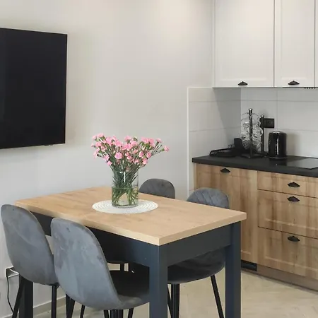 Awesome In With Sauna Apartment