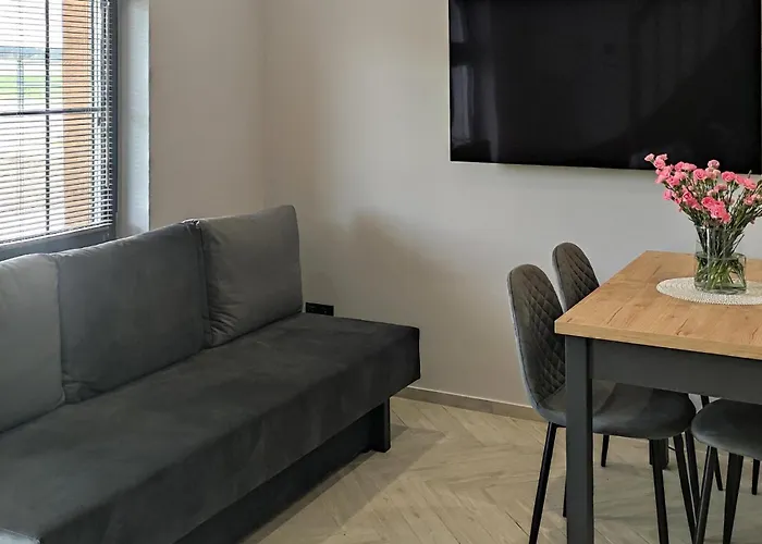 Awesome In With Sauna Apartment