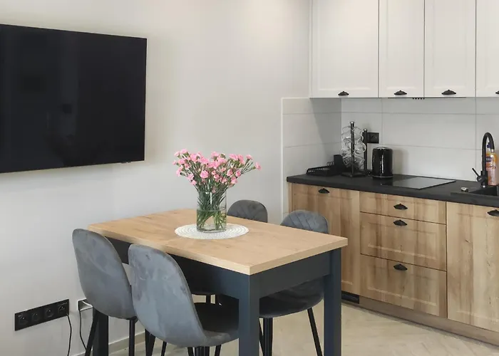 Awesome In With Sauna Apartment